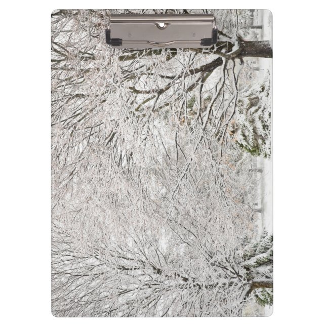 Porte-bloc Forêt hivernale neige (Devant)