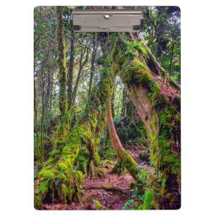 Porte-bloc Forêt moussue