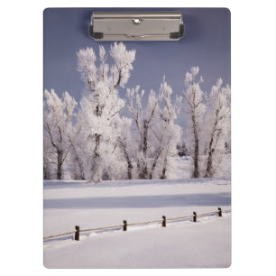 Porte-bloc Frost a couvert les arbres et la barrière, le