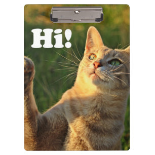 Porte-bloc Ginger Cat Dit Bonjour !
