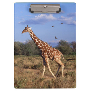 Porte-bloc Girafe réticulée