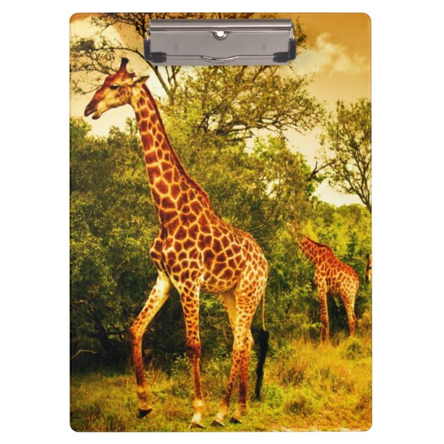 Porte-bloc Girafes sud-africaines (Devant)