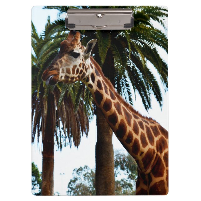 Porte-bloc Giraffe Drôle Qui Donne Une Framboise, (Devant)