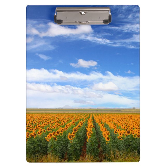 Porte-bloc Gisements de tournesol (Devant)