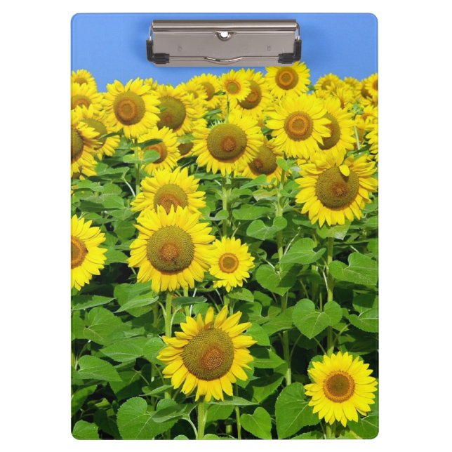 Porte-bloc Gisements de tournesol (Devant)