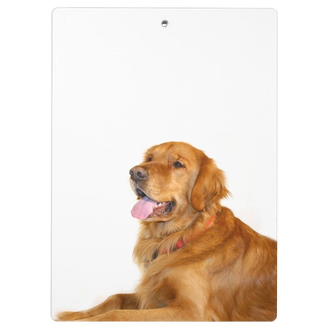 Porte-bloc Golden retriever (Dos)
