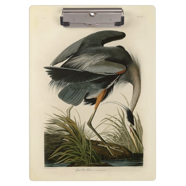 Porte-bloc Grand Héron bleu d'Audubon Marais Oiseau (Devant)