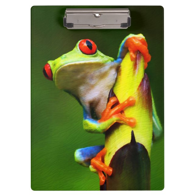 Porte-bloc Grenouille 2 Porte - bloc (Devant)