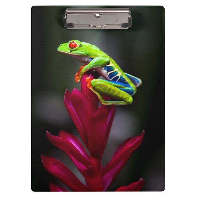 Porte-bloc Grenouille aux yeux rouges (Devant)