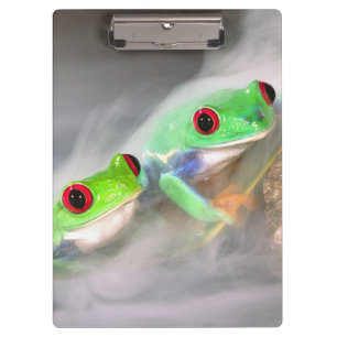 Porte-bloc Grenouille aux yeux rouges dans le brouillard, Aga