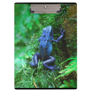 Porte-bloc Grenouille bleue de dard de poison