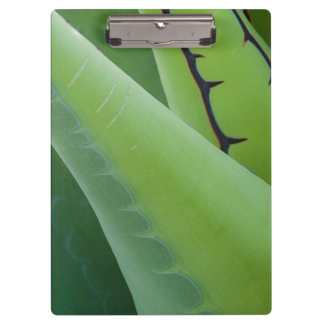 Porte-bloc Gros plan d'Agave (Devant)