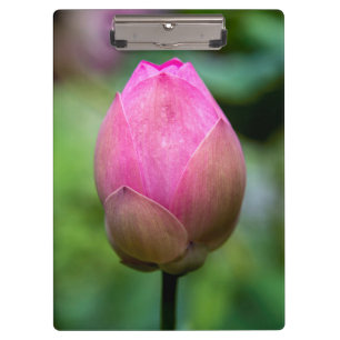 Porte-bloc Gros plan sur un bouton de fleur de lotus, Bali