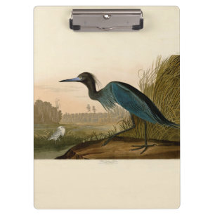 Porte-bloc Grue Bleue Heron Audubon Peinture