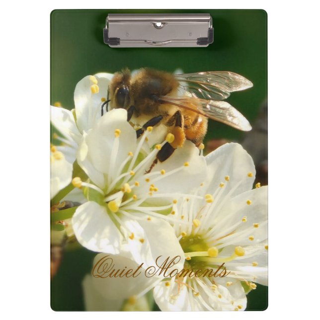 Porte-bloc Honey Bee Plum Blossom Nature Study Clipboard (Devant)