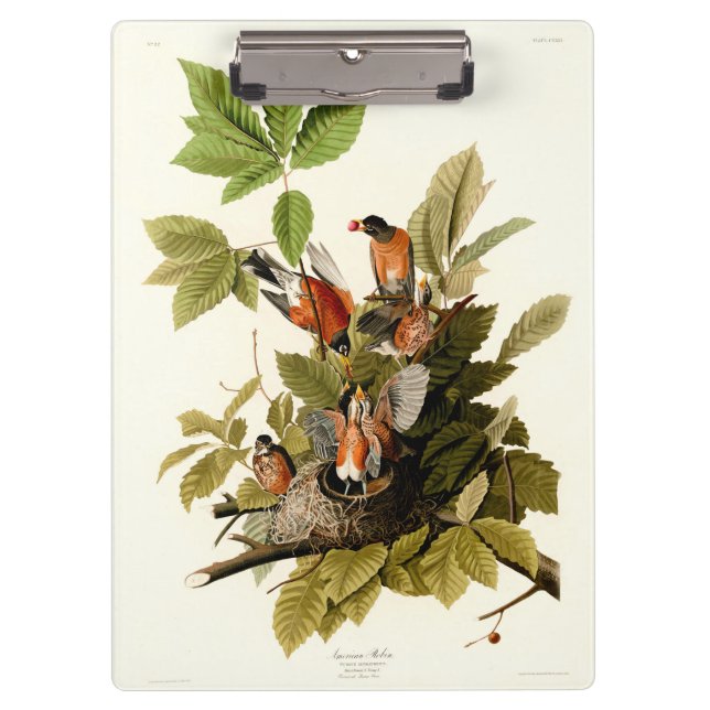 Porte-bloc Illustration Audubon American Robin Wildlife Bird (Devant)