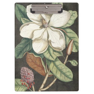 Porte-bloc Illustration botanique vintage de magnolia de Cate