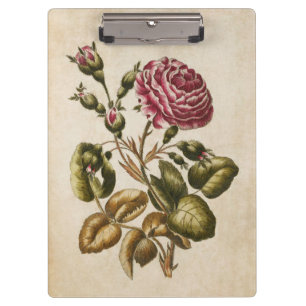 Porte-bloc Illustration de l'Rose floral botanique Vintage