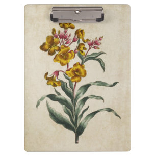 Porte-bloc Illustration vintage de la floraison botanique