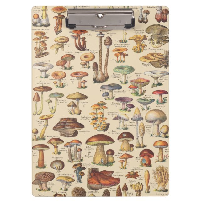 Porte-bloc Illustration vintage des champignons (Devant)