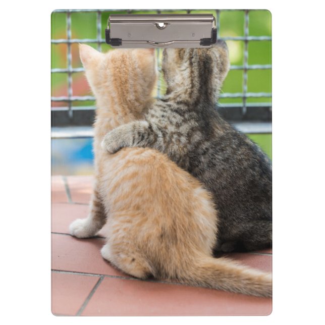 Porte-bloc Images de Getty | deux chatons sur un balcon (Devant)