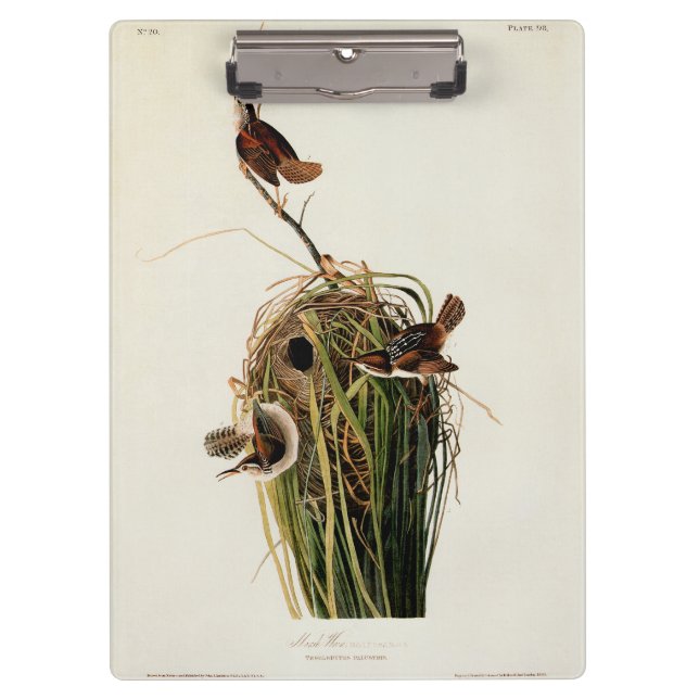 Porte-bloc Impression d'oiseau de John James Audubon Troglody (Devant)