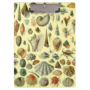 Porte-bloc Impression vintage de coquillages d'Adolphe Millot