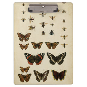 Porte-bloc Insectes de jardin par le studio de vision