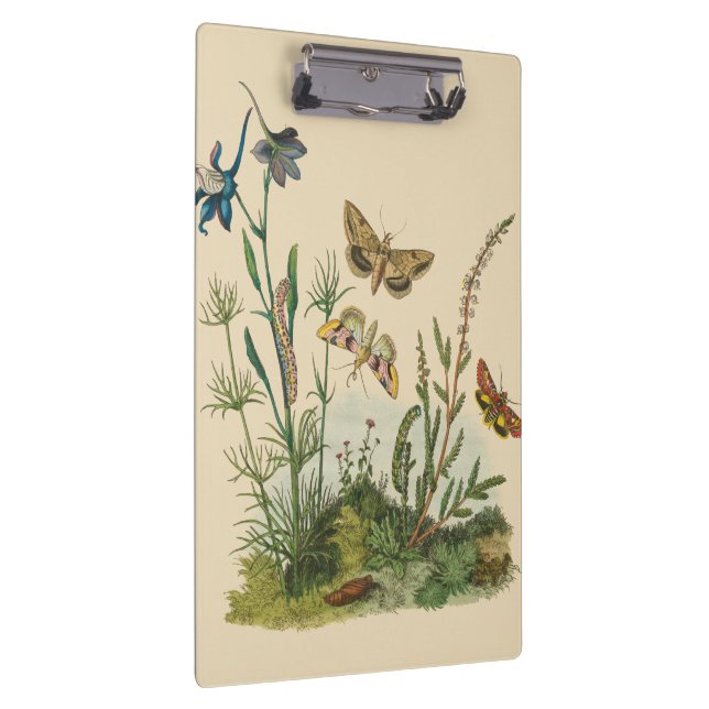 Porte-bloc Insectes vintages, Papillons, Caterpillar (Swatch)