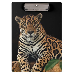 Porte-bloc Jaguar
