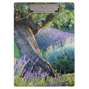 Porte-bloc Jardin panoramique avec des fleurs, France