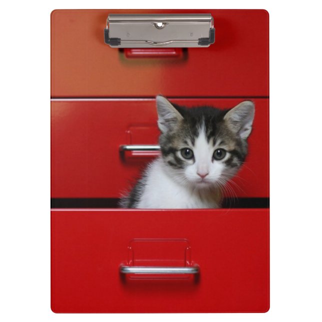Porte-bloc Jeter un coup d'oeil de chaton (Devant)