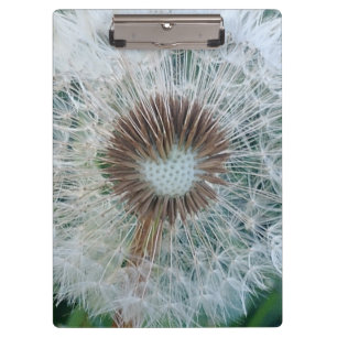 Porte-bloc Joli Dandelion blanc