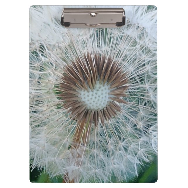 Porte-bloc Joli Dandelion blanc (Devant)