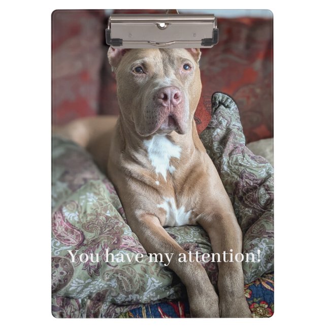 Porte-bloc Joli Pit Bull (Devant)