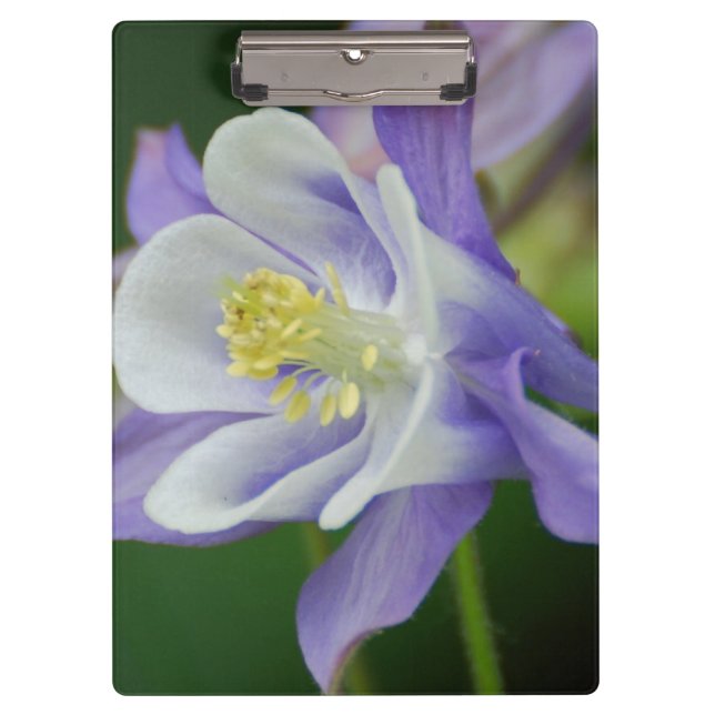Porte-bloc Jolie fleur de Columbine (Devant)