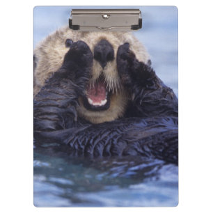 Porte-bloc Jolie loutre de mer Alaska, États-Unis