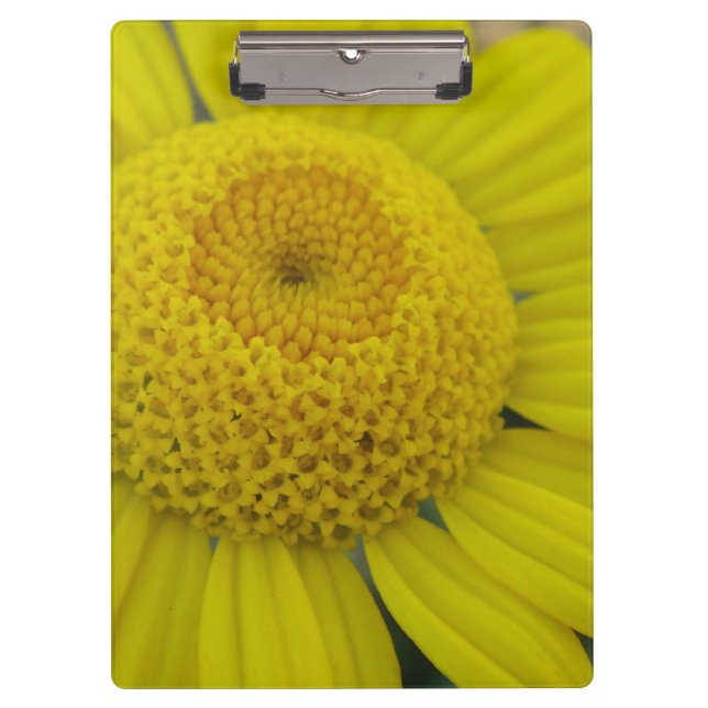 Porte-bloc Jolie marguérite jaune (Devant)
