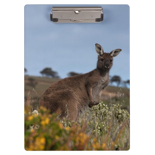 Porte-bloc Kangaroo Australie Photo (Devant)
