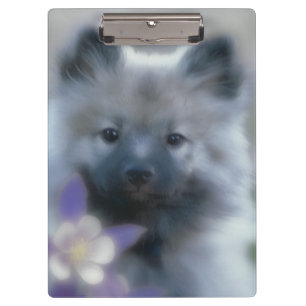 Porte-bloc Keeshond et Columbine - Photo de chien