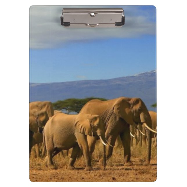 Porte-bloc Kilimanjaro et éléphants (Devant)