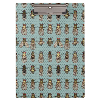 Porte-bloc La génétique de mouche à fruit de drosophile -