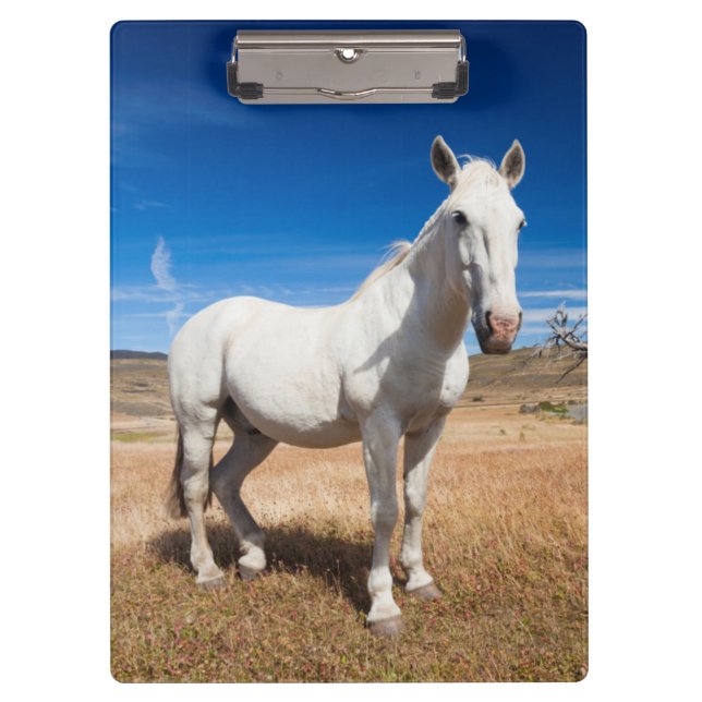 Porte-bloc Laguna Azul, paysage avec chevaux (Devant)