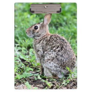 Porte-bloc Lapin