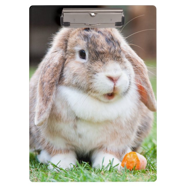 Porte-bloc lapin à oreilles de lop mignon (Devant)