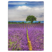 Porte-bloc Lavender Field pittoresque, France (Dos)