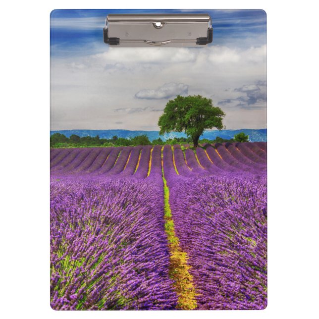 Porte-bloc Lavender Field pittoresque, France (Devant)