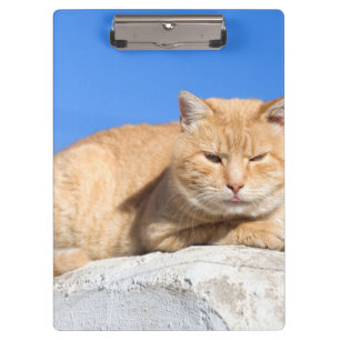 Porte-bloc Lazy cat