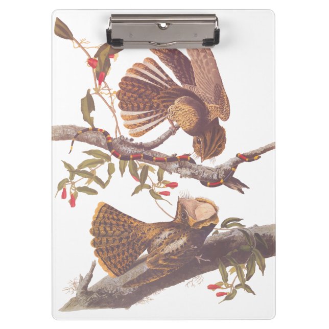 Porte-bloc Le cauchemar de la veuve de Chuck Will avec serpen (Devant)