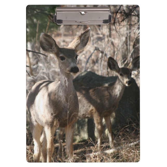 Porte-bloc Le cerf dit bonjour (Devant)